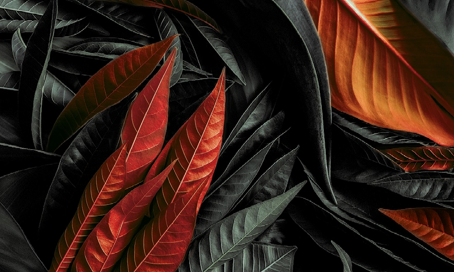 Sens.ful detail