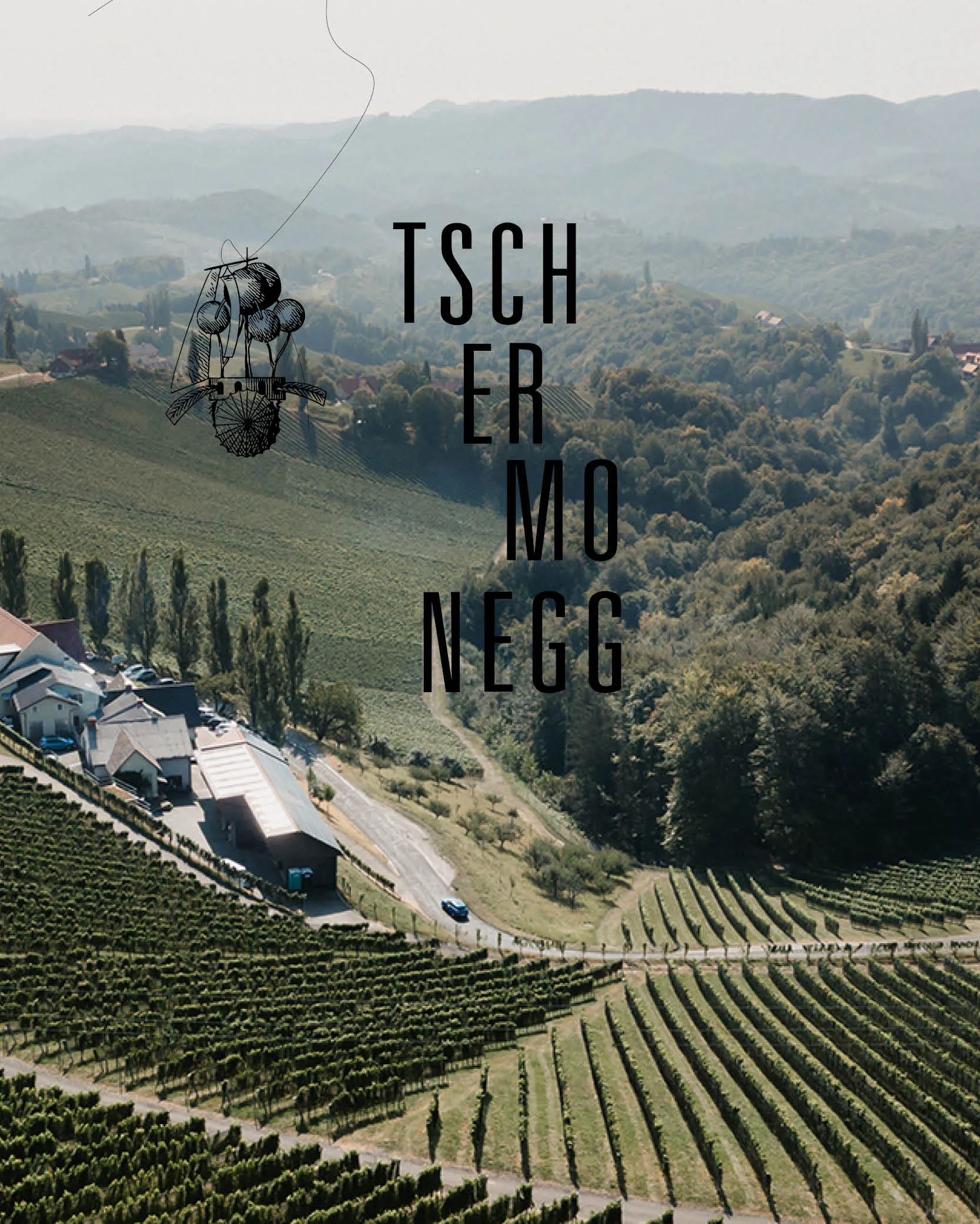Winery Tschermonegg