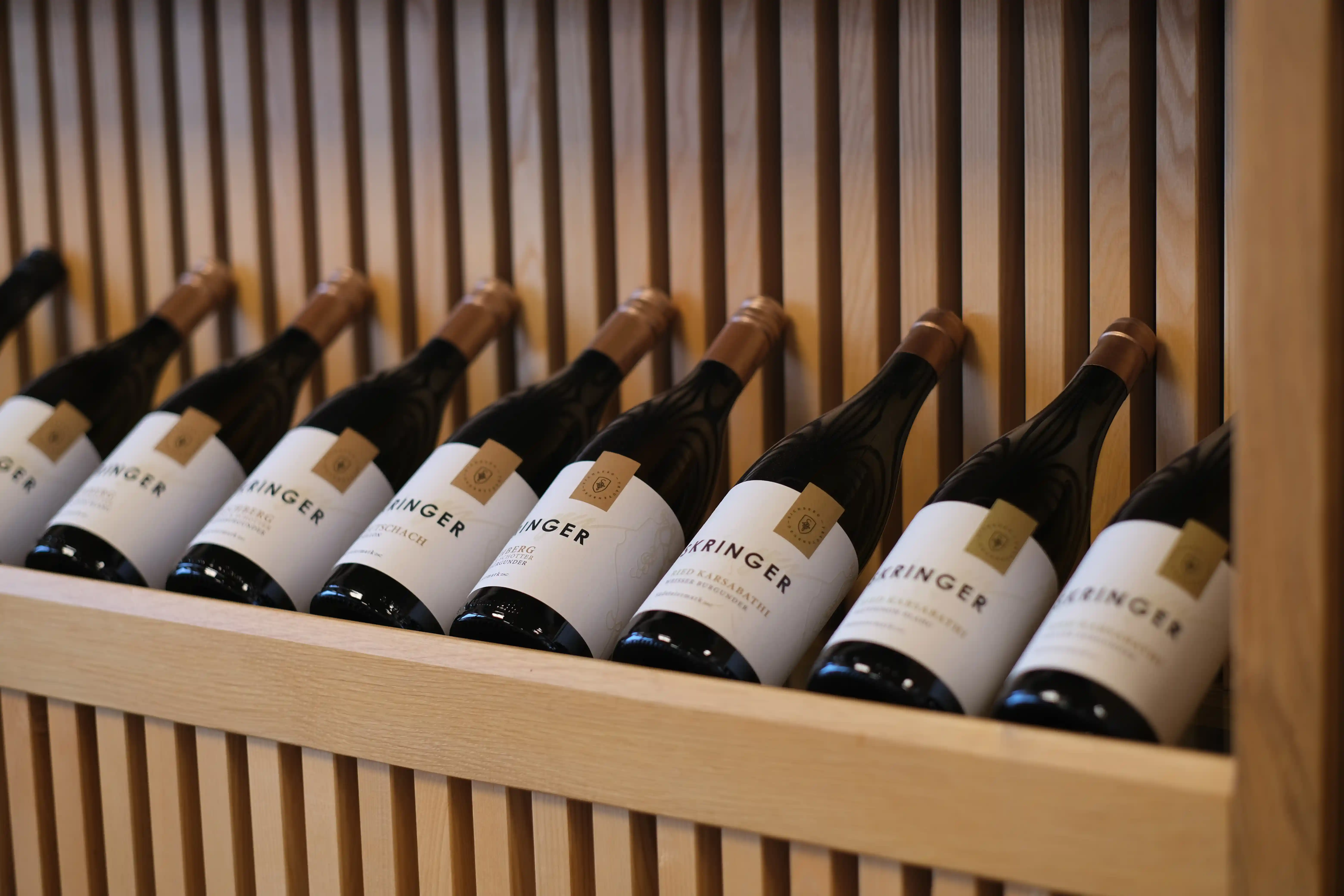Winery Skringer